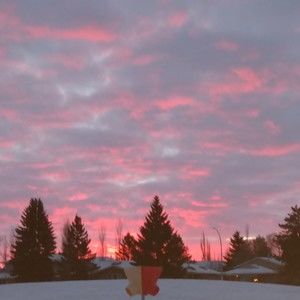 Meet your Posher, Georgia